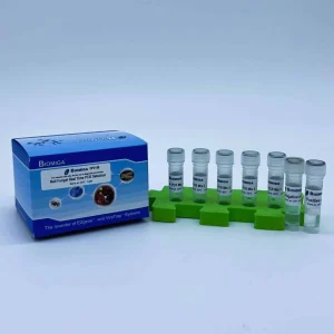 Nail Fungal Real Time PCR Detection